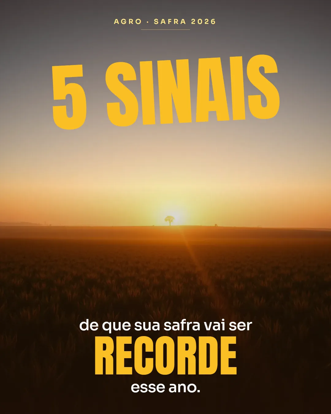 Agro — 5 sinais de que safra vai ser boa esse ano